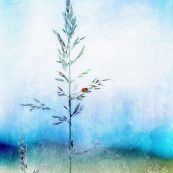 Digital Arts titled "A ladybug" by Rosie Daswani, Original Artwork, Digital Print