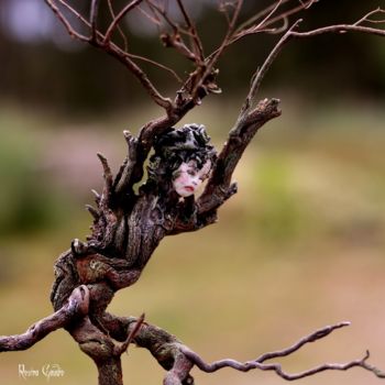 Escultura intitulada "Desires" por Rosina Gaudio, Obras de arte originais