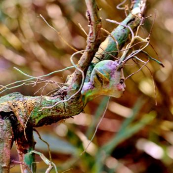 Sculptuur getiteld "Colorful Friend" door Rosina Gaudio, Origineel Kunstwerk, Hout