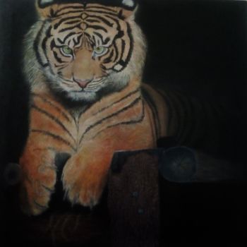 Ζωγραφική με τίτλο "Le Tigre d india" από Schwarz Blume, Αυθεντικά έργα τέχνης, Ακρυλικό