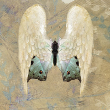 Digital Arts titled "Angel Wings 1" by Roxana Ferllini, Original Artwork, Photo Montage