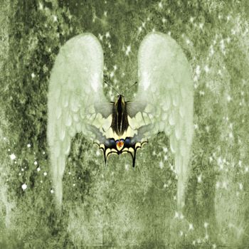 Digital Arts titled "Angel Wings 2" by Roxana Ferllini, Original Artwork, Photo Montage