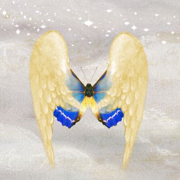 Digital Arts titled "Angel Wings 6" by Roxana Ferllini, Original Artwork, Photo Montage