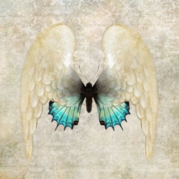Digitale Kunst mit dem Titel "Angel Wings 7" von Roxana Ferllini, Original-Kunstwerk, Fotomontage