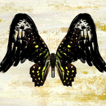 Digitale Kunst mit dem Titel "Angel Wings 8" von Roxana Ferllini, Original-Kunstwerk, Fotomontage