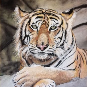 Desenho intitulada "Le tigre" por Roxane Le Tétour, Obras de arte originais, Pastel