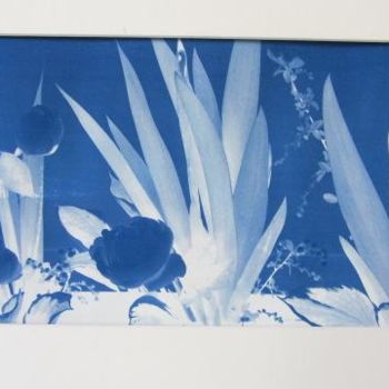 Fotografie mit dem Titel "13-cyanotype-010.jpg" von Roxanne Frazer, Original-Kunstwerk