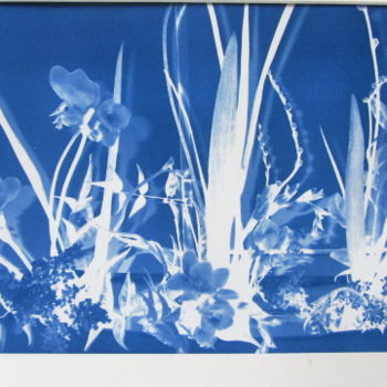 Textile Art titled "13-cyanotype-001.jpg" by Roxanne Frazer, Original Artwork
