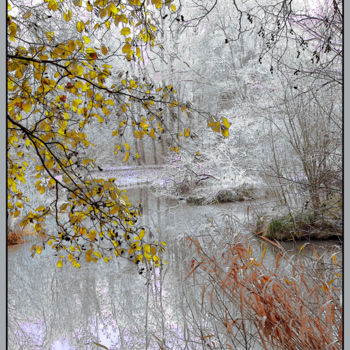 Fotografie mit dem Titel "Eclat d' hiver" von Michel Guillaumeau, Original-Kunstwerk, Digitale Fotografie