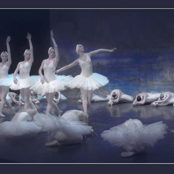 Fotografia intitolato "Le Lac des cygnes" da Michel Guillaumeau, Opera d'arte originale