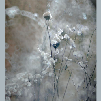 Photography titled "Ballerines de neige" by Michel Guillaumeau, Original Artwork, Digital Photography