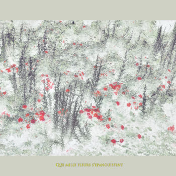 Digital Arts με τίτλο "20-que-mille-fleurs…" από Michel Guillaumeau, Αυθεντικά έργα τέχνης, Ψηφιακή ζωγραφική
