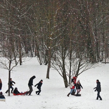 Fotografía titulada "Jeux d'hiver et var…" por Michel Guillaumeau, Obra de arte original, Fotografía digital