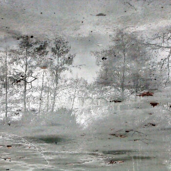 Digital Arts titled "Mirage hivernal" by Michel Guillaumeau, Original Artwork, Digital Painting