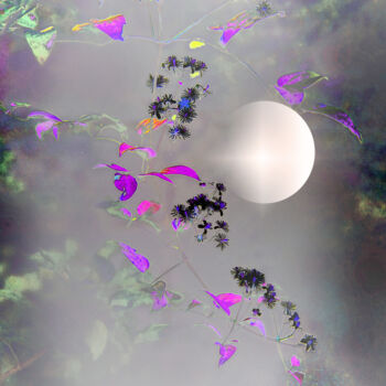 Digital Arts με τίτλο "Lune de printemps" από Michel Guillaumeau, Αυθεντικά έργα τέχνης, Ψηφιακή ζωγραφική