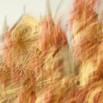 Fotografia intitolato "Notre Dame" da Anatoly Rudakov, Opera d'arte originale, Fotografia digitale