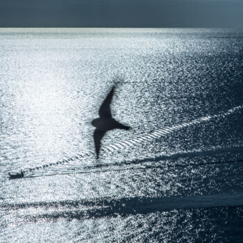 Photographie intitulée "Above the sea" par Anatoly Rudakov, Œuvre d'art originale, Photographie numérique