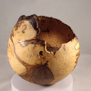 Escultura intitulada "Hollow form - spalt…" por Ruben Verschueren, Obras de arte originais, Madeira