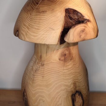Sculptuur getiteld "Robinia mushroom" door Ruben Verschueren, Origineel Kunstwerk, Hout
