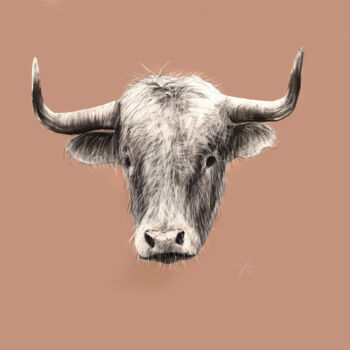 Tekening getiteld "anim¦bull 22.098" door Rupert Cefai, Origineel Kunstwerk, Houtskool