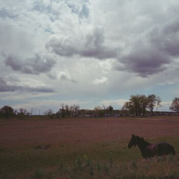 Fotografia intitolato "Horse" da Ruslan Aboev, Opera d'arte originale, fotografia a pellicola