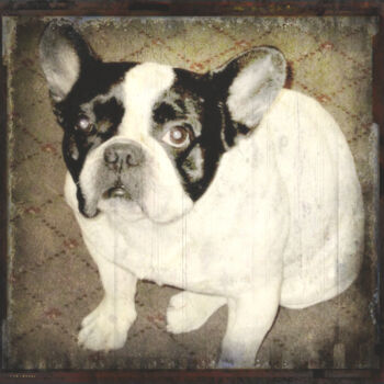 Arte digitale intitolato "bulldog-hotel-guard…" da Ruta Sevo, Opera d'arte originale