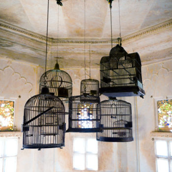 Fotografie getiteld "Birdcage collection…" door Ruud Kimmelaar, Origineel Kunstwerk, Digitale fotografie
