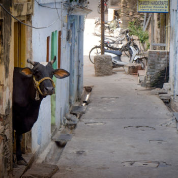 Fotografie getiteld "Udaipur backstreet" door Ruud Kimmelaar, Origineel Kunstwerk, Digitale fotografie