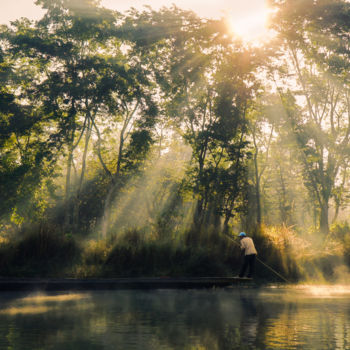 Fotografie getiteld "Jungle Dawn" door Ruud Kimmelaar, Origineel Kunstwerk, Digitale fotografie