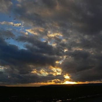 Fotografie mit dem Titel "sunset1.jpg" von Eddie Mchugh, Original-Kunstwerk