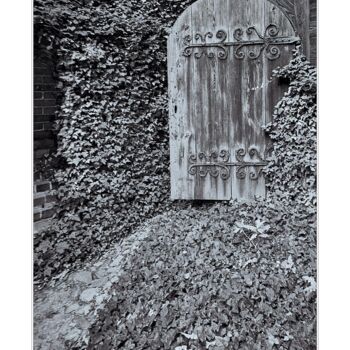 摄影 标题为“The door to the wor…” 由Ryszard Stelmachowicz, 原创艺术品, 数码摄影
