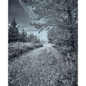 Fotografia intitulada "Jesienna ścieżka" por Ryszard Stelmachowicz, Obras de arte originais, Fotografia digital