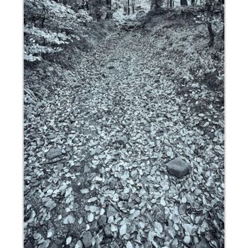 Photographie intitulée "Jesienią pod górę" par Ryszard Stelmachowicz, Œuvre d'art originale, Photographie numérique