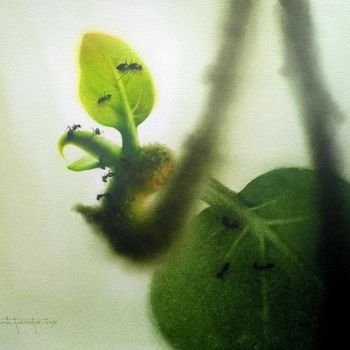 Peinture intitulée "new life" par Sudipta Karmakar, Œuvre d'art originale, Aquarelle