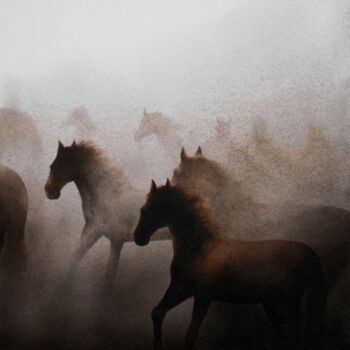 "Horses" başlıklı Tablo Sudipta Karmakar tarafından, Orijinal sanat, Suluboya