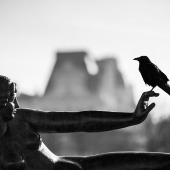 Photographie intitulée "le corbeau et la dé…" par Stéphane Machefer, Œuvre d'art originale, Photographie numérique