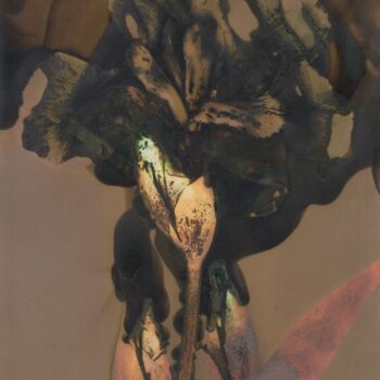 Фотография под названием "Lumen #21/14 - iris" - Sébastien Verdière, Подлинное произведение искусства, Пленочная фотография