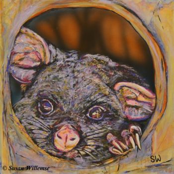 Картина под названием "Possum" - Susan Willemse, Подлинное произведение искусства, Акрил Установлен на Другая жесткая панель