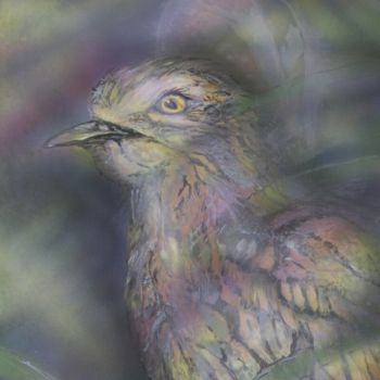 Painting titled "Bush Stone Curlew" by Susan Willemse, Original Artwork, Acrylic Mounted on Wood Stretcher frame