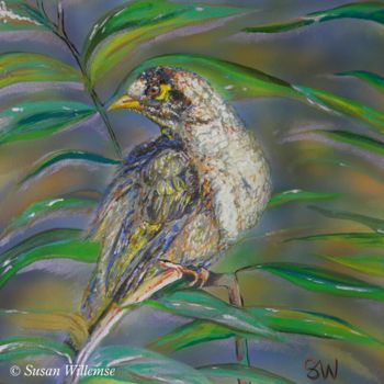 Painting titled "Noisy Miner" by Susan Willemse, Original Artwork, Acrylic Mounted on Wood Stretcher frame