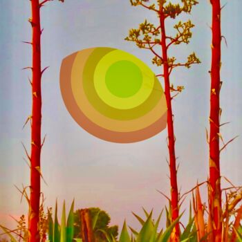 Digital Arts titled "Agave palette" by Sabina Vannucci Rockwell, Original Artwork, Manipulated Photography