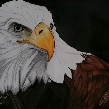 Dessin intitulée "Realistic Eagle" par Sagar Pawar, Œuvre d'art originale, Crayon