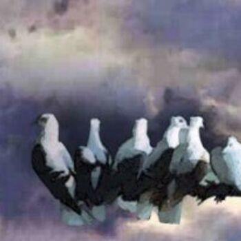 Dessin intitulée "Pigeon4" par Sal Norris, Œuvre d'art originale