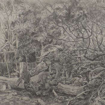 Zeichnungen mit dem Titel "Jardín de la casa" von Salvador Velarde, Original-Kunstwerk, Bleistift