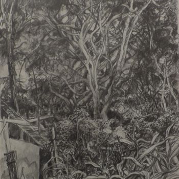 Dessin intitulée "Jardín de la Casa II" par Salvador Velarde, Œuvre d'art originale, Crayon