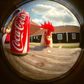 Photographie intitulée "Coca coq" par Salvo Veneziano, Œuvre d'art originale, Photographie argentique