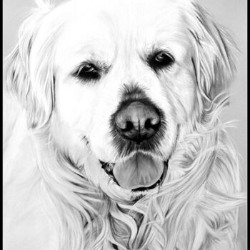 Zeichnungen mit dem Titel "chien au pastel gol…" von Samos17 Portraitiste, Original-Kunstwerk, Pastell
