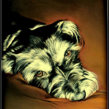 Dibujo titulada "chien dessiné au pa…" por Samos17 Portraitiste, Obra de arte original, Pastel