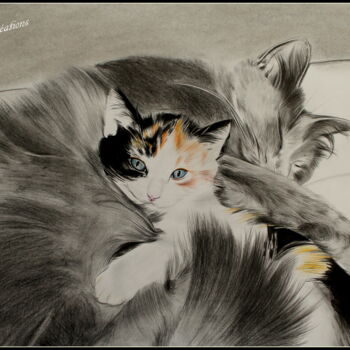 Dessin intitulée "chat alors!!(portra…" par Samos17 Portraitiste, Œuvre d'art originale, Crayon