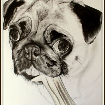 Drawing titled "portrait chien noir…" by Samos17 Portraitiste, Original Artwork, Pencil